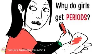 The Menstrual Cycle Explained Animation Video 🩸The Female Reproductive System, 2/3 | Puberty Stages