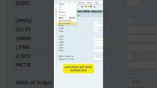 SAP GUI Session beenden während sie noch läuft 