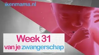 31 weken zwanger | ikenmama.nl