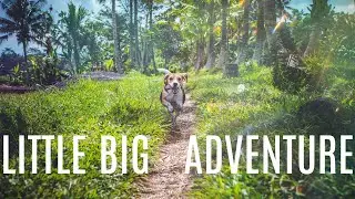 Little Big Adventure - Jean-Philippe Ichard