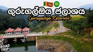 ගුරුගල්ඔය ජලාශය | Gurugaloya Reservoir (Travel Vlog 92)