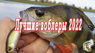 Лучшие воблеры сезона 2022, цвет, проводки, удилища