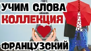 ФРАНЦУЗСКИЙ ЯЗЫК СЛОВА КОЛЛЕКЦИЯ ВСЕ КУРСЫ ПО СЛОВАМ ДЛЯ НАЧИНАЮЩИХ