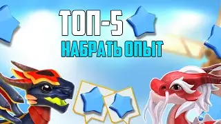 ТОП-5 СПОСОБОВ ПОЛУЧЕНИЯ ОПЫТА В ИГРЕ ЛЕГЕНДЫ ДРАКОНОМАНИИ