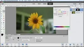 Photoshop Elements Tutorial - Selections and the selection tools