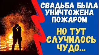 Казалось, что свадьбу уже никак нельзя спасти. Но тут случилось чудо