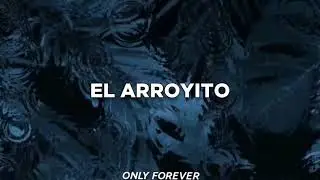 Fonseca - El arroyito (Letra)