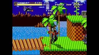 Streets of Rage Remake Mods (Timeline Revival): Sonic X Streets of Rage (Sonic 1)