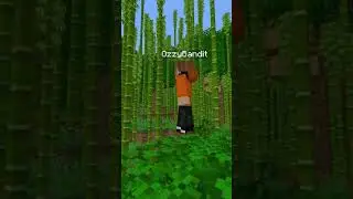 The Biggest Mistakes In Minecraft... #shorts #minecraft