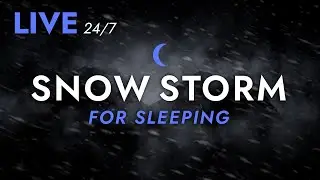 🔴 Fall Asleep to Snow Storm Sounds for Sleeping - Dimmed Screen | Live Stream - Blizzard Sounds