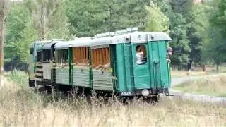 УЗКОКОЛЕЙНЫЙ ПОЕЗД ВЕЗЕТ ТУРИСТОВ