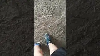 Sabah Tavuklarıma geldim
