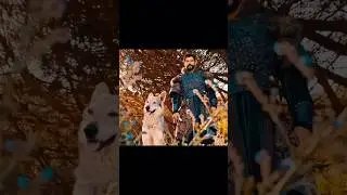 Osman bey🔥met gokboro || Angry🐕 Dog's || Ottoman-FA #trending #shorts #short #angry #viralvideo