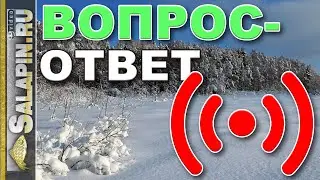 Поговорим о рыбалке. Вопросы и ответы. 10.03.2021