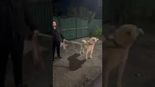 Подарок от брата Магамед Халилов спасибо большое брат тебе✊🏻