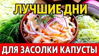 В ДЕКАБРЕ 2023. Когда солить капусту, чтобы была очень вкусной? Лучшие даты по лунному календарю!