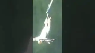 Crocodile Bungee Jumping is DANGEROUS