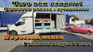 Чего вам ожидать? Работа на Бусе в Европе. Дальнобой по Европе. Ужалила медуза в море