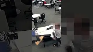 Funding For Improved Centrelink Security Announced After Acts Of Aggression | 10 News First