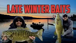 Late Winter Baits for Washington Bass Fishing - These WORK! February - Early March Best Lures