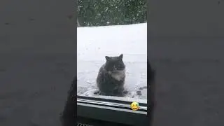 Дима Билан: Батон появился с первым снегом ❄️