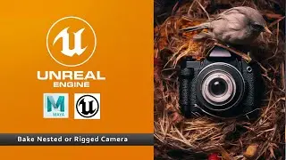 Exporting Camera Animation if its nested or rigged for Unreal
