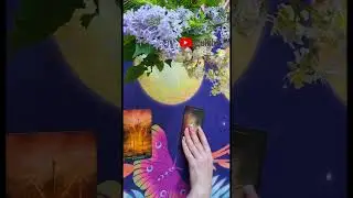 Куда поехать отдыхать? Заграница или Россия? #таро #гадание #tarot
