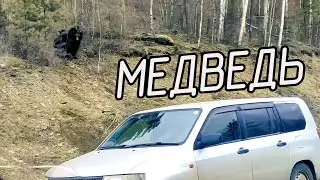 Медведь вышел к дороге на Большое Голоустное