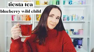 Tiesta Tea Blueberry Wild Child Tea Review | Dana DeStefano