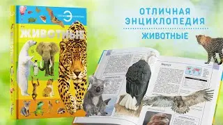 Книга Большая энциклопедия для детей, школьников Животные для чтения, с иллюстрациями