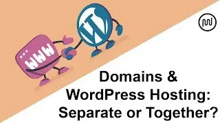 Should you host your domains and WordPress at the same place or separately?