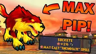 Max Pip Heckhound + Maycast Incindiate = God Mode