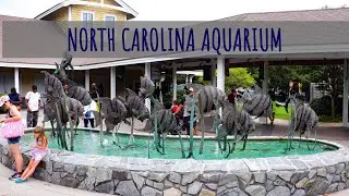 North Carolina Aquarium || Roanoke Island || Outer Banks~Day 3