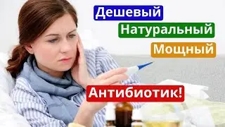 Лучший для ОСЕНИ!  От простуды пригодится всем! ОРЗ и ОРВИ можно лечить натуральным антибиотиком!