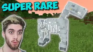 EASIEST Way To Find A SKELETON HORSE In Minecraft!!! - Minecrafts Rarest Mob