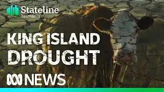 Farmers on remote island grapple with worst drought on record | ABC News