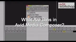 What Are Bins in Avid Media Composer?