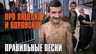 ПРО ЛЮДСКОЕ И ВОРОВСКОЕ | Правильные песни | Блатной сборник