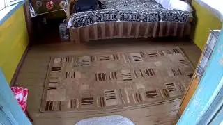 Приехали, в полив 7  утра мини обзор домика с паласом