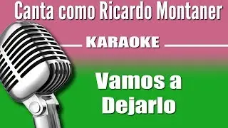 Ricardo Montaner - Vamos a Dejarlo - Karaoke Vision