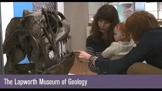 The Lapworth Museum of Geology