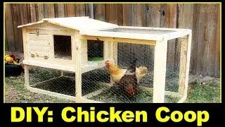 DIY: Small Backyard Chicken Coop Part 1