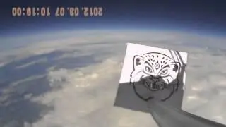 Манул в Космосе! (manul in space!)