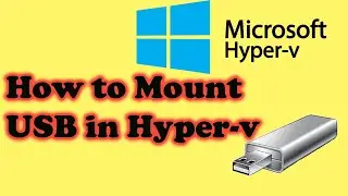 How to connect External USB to Hyper-v  virtual machine ( Mass Storage)