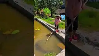 Pond fishing #shorts #fishing #catchingfish