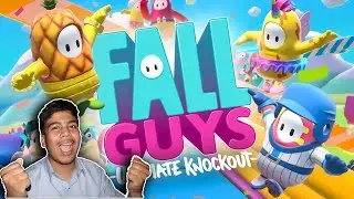 The Most Funniest Game Ever | Fall Guys | Tanzeel Gaming