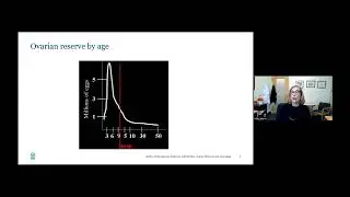 Blum Center Program: Fertility and Cancer | Massachusetts General Hospital