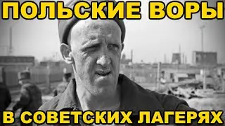 Кого называли польскими ворами в советских тюрьмах и лагерях