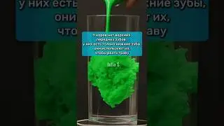 ТЫ ТОЧНО ЭТОГО НЕ ЗНАЛ