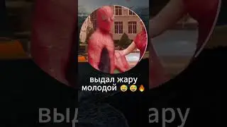 Забавный случай!)) #рекомендации #хочуврек #папич